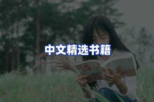 中文精选书籍